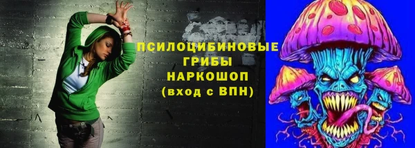 шишки Абдулино