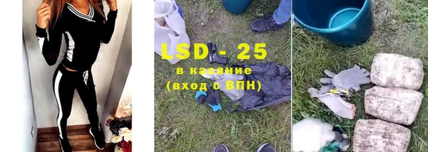 стафф Осташков