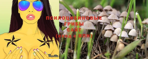 марки lsd Абаза